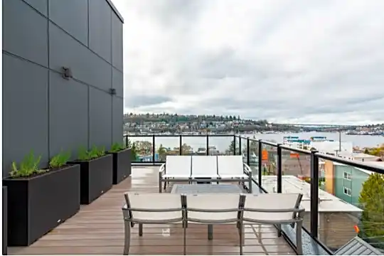 rooftop.JPG