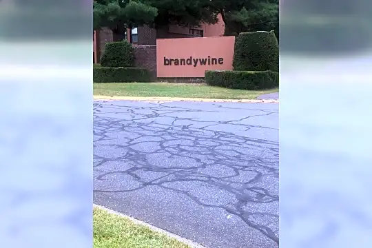 Brandywine Apartments Photo 2