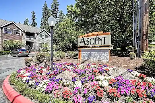 Ascent Apartment Homes Photo 2