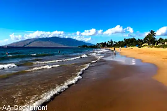 2191 South Kihei Rd. #2124 Photo 2