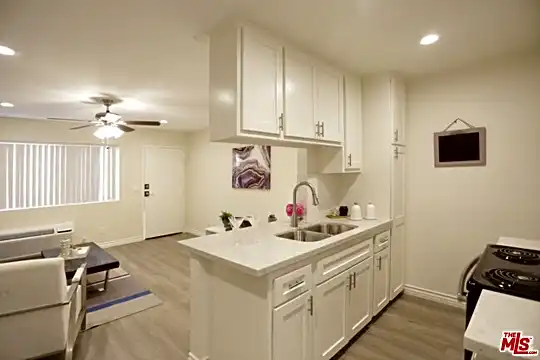 536 S Manhattan Pl #305 Photo 2