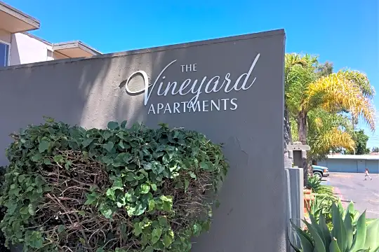 Vineyard Apartments Photo 2