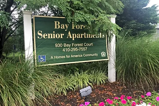 Bay Forest Senior Apartments Photo 2
