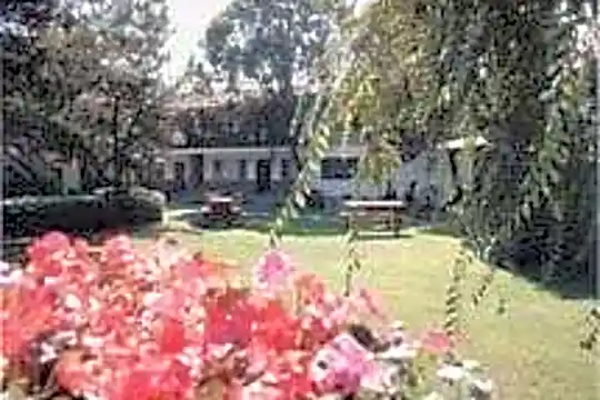 Palo Alto Park Photo 1