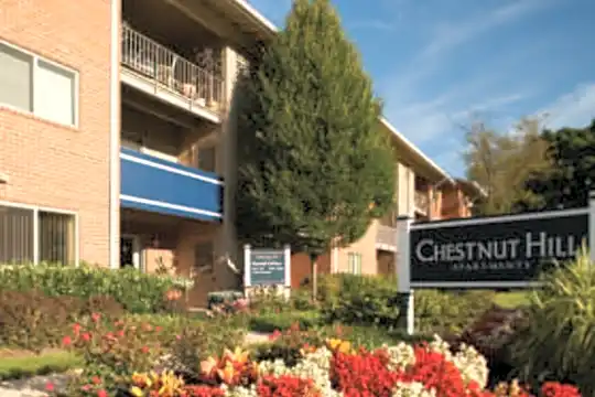 Chestnut Hill Photo 2