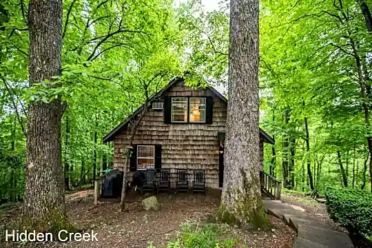 132 Sassafras Photo 2