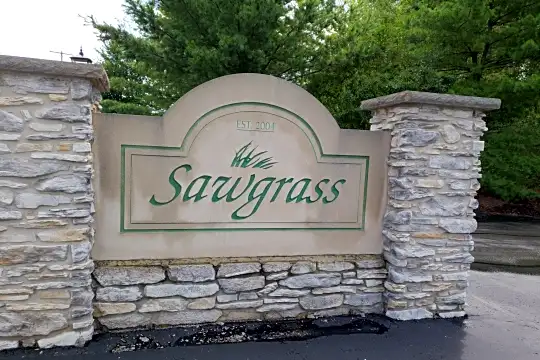 Sawgrass Photo 2