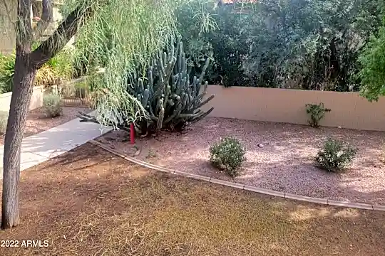 9460 E Mission Ln #216 Photo 1
