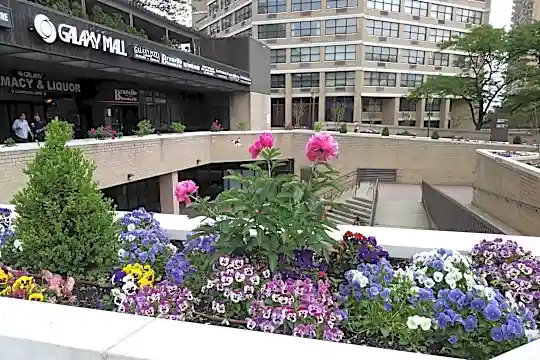 7000 JFK Blvd E #42J Photo 2