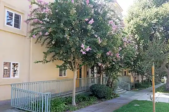 Olive Plaza Apartments Photo 1