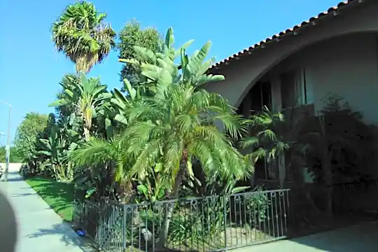 Village Courtyard Photo 1
