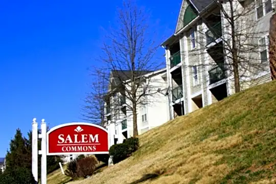 Salem Commons Apartments Photo 1