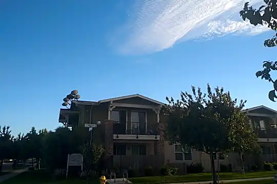 Orchard View Apartments Photo 1