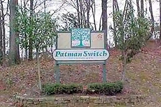 Patman Switch Photo 1