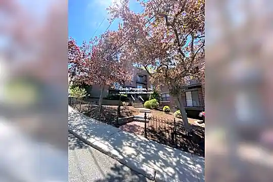 11 Darling St Photo 2