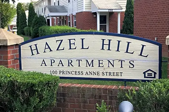 Hazel Hill Photo 2