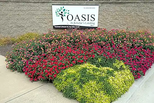 Oasis at Scholars Landing Photo 2