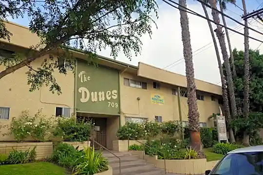 Dunes, The Photo 1