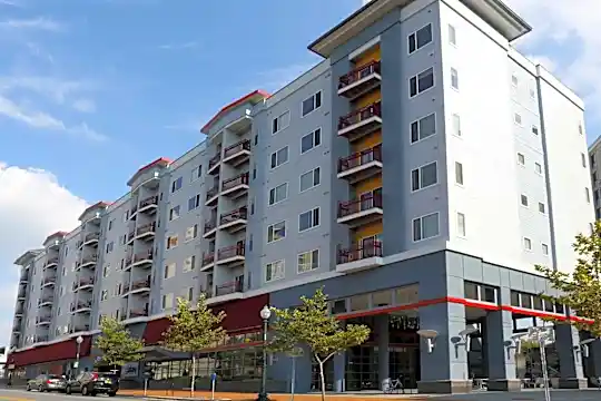 The Galaxy Apartments Photo 1