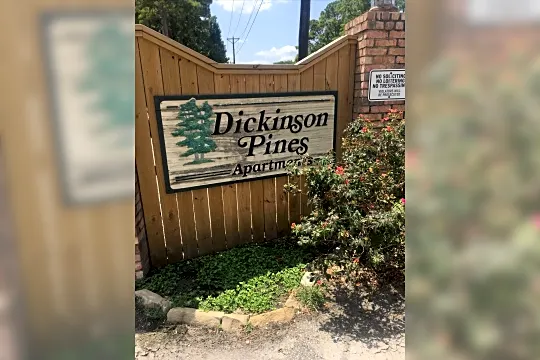 Dickinson Pines Photo 2