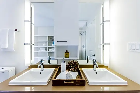 bathroom featuring a shower, toilet, dual bowl vanity, and mirror