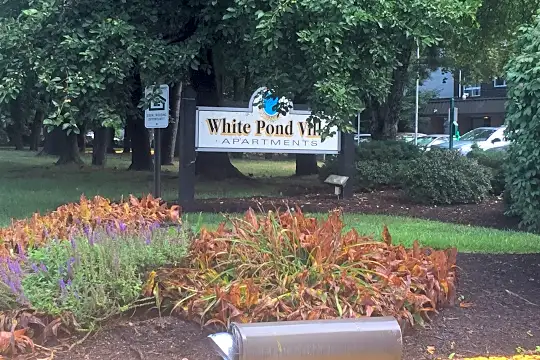White Pond Villa Photo 2