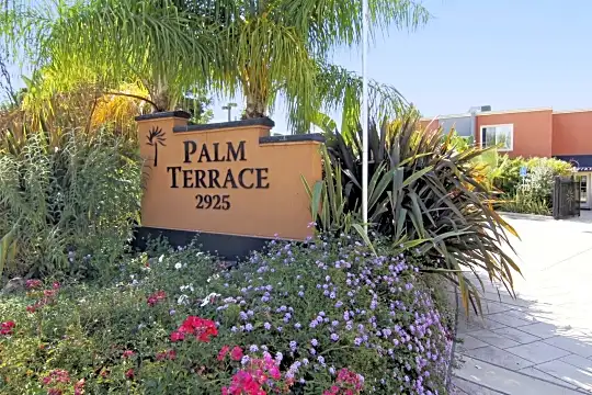 Palm Terrace Photo 1