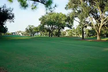 Palma Ceia, Tampa, FL - 3