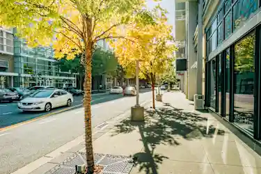 Midtown, Charlotte, NC - 13