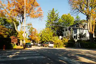 West Mount Airy, Philadelphia, PA - 5