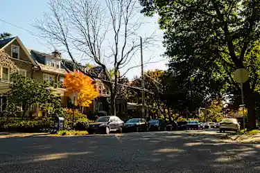 West Mount Airy, Philadelphia, PA - 8