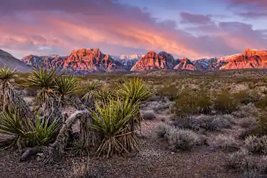 Las Vegas, NV - 3