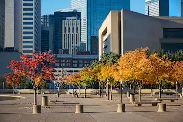 Downtown, Dallas, TX - 4