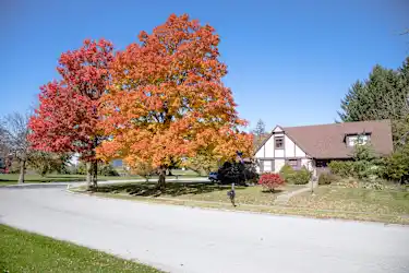 College Park, Indianapolis, IN - 1