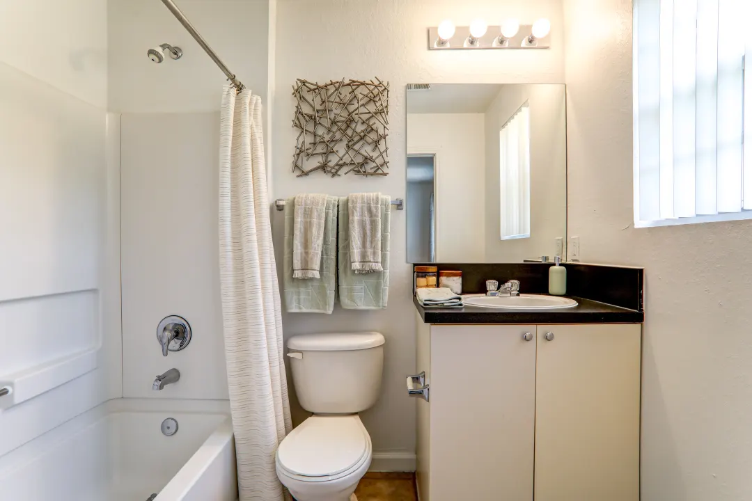 Under Sink Storage For Kitchens and Bathrooms In Tallahassee