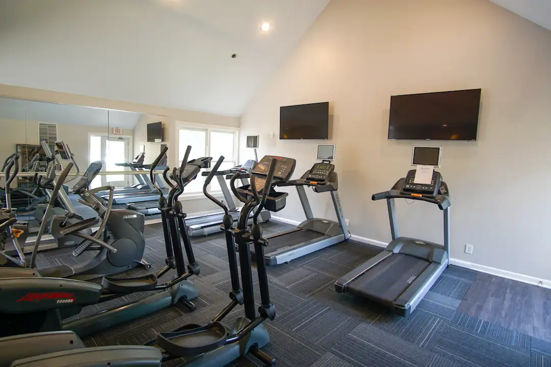 Menards treadmill hot sale
