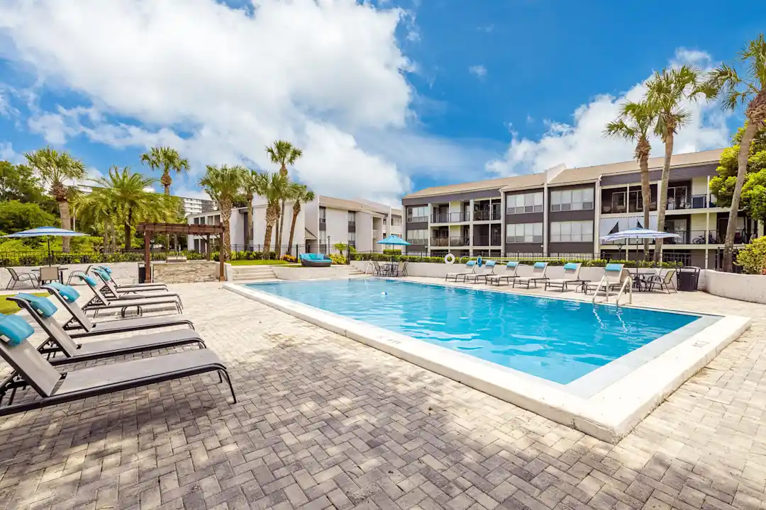 USA: Swimming pool, drinks and palm trees in Jacksonville