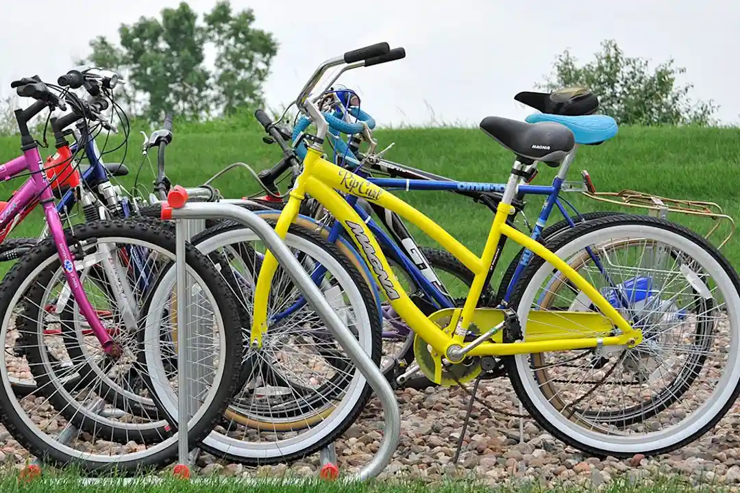 Rip curl beach online cruiser