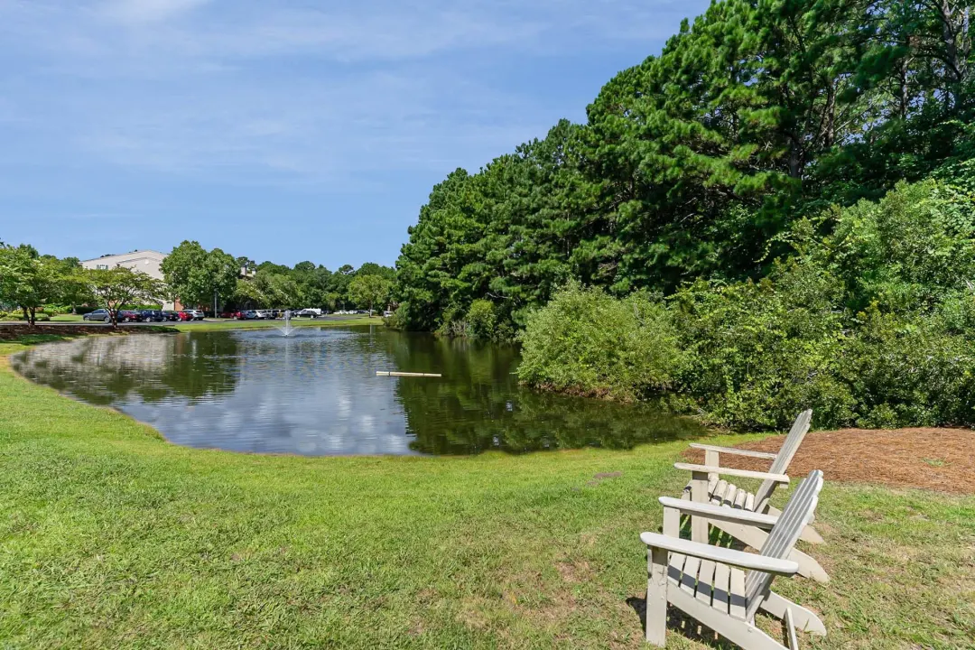 Pawleys Island Nature: A Shell Guide - Pawleys Island