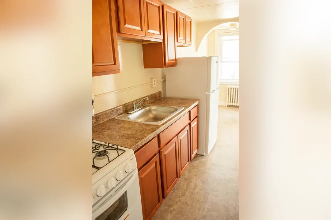 Organizing the cabinet under the kitchen sink - Lansdowne Life