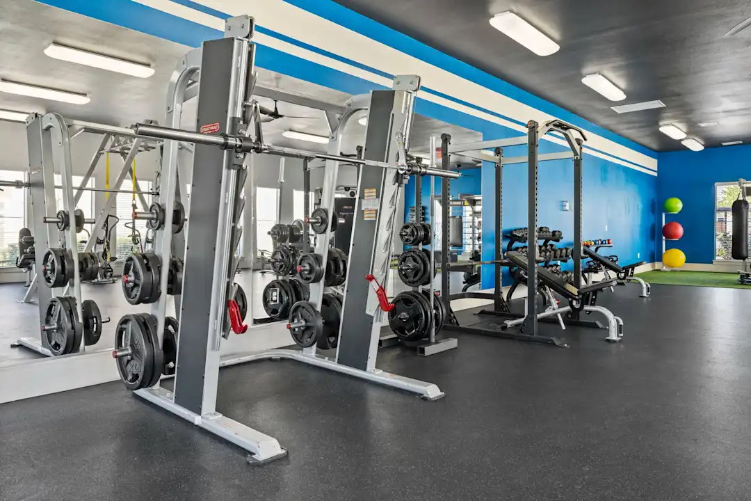 Cabela's exercise equipment outlet