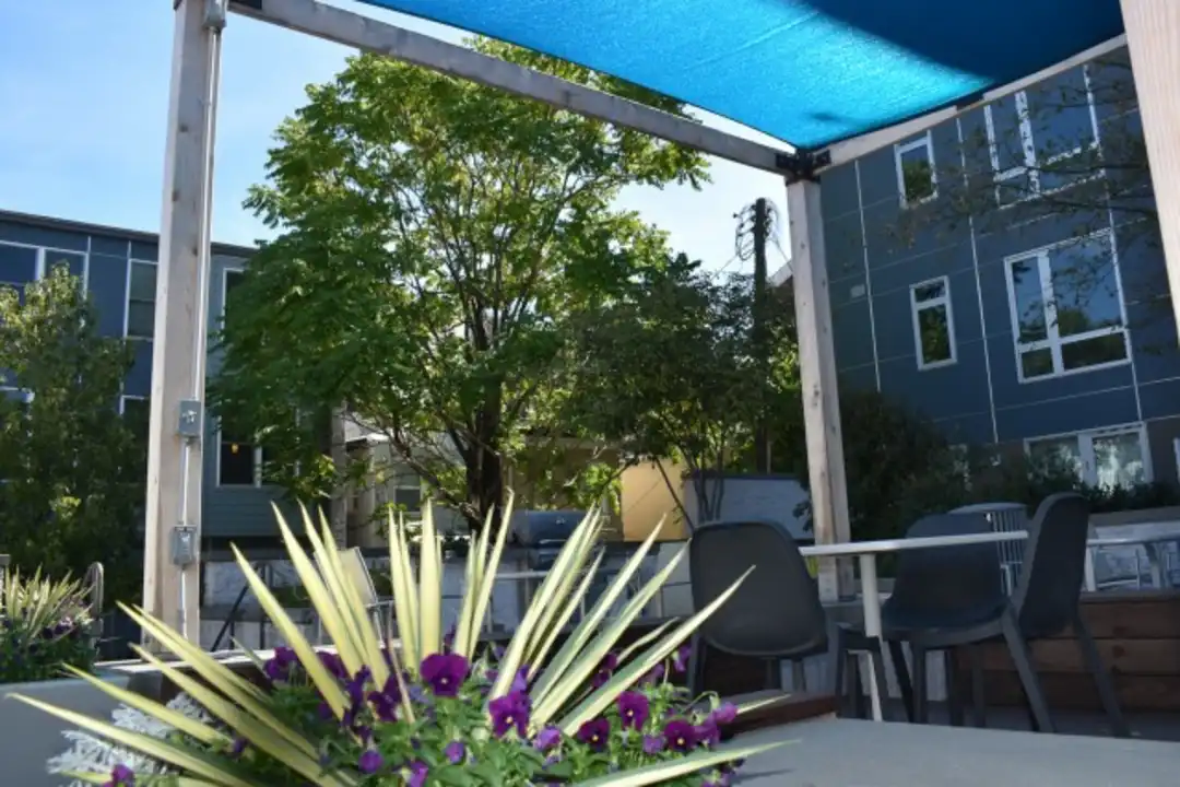 1111 Light St Apartments