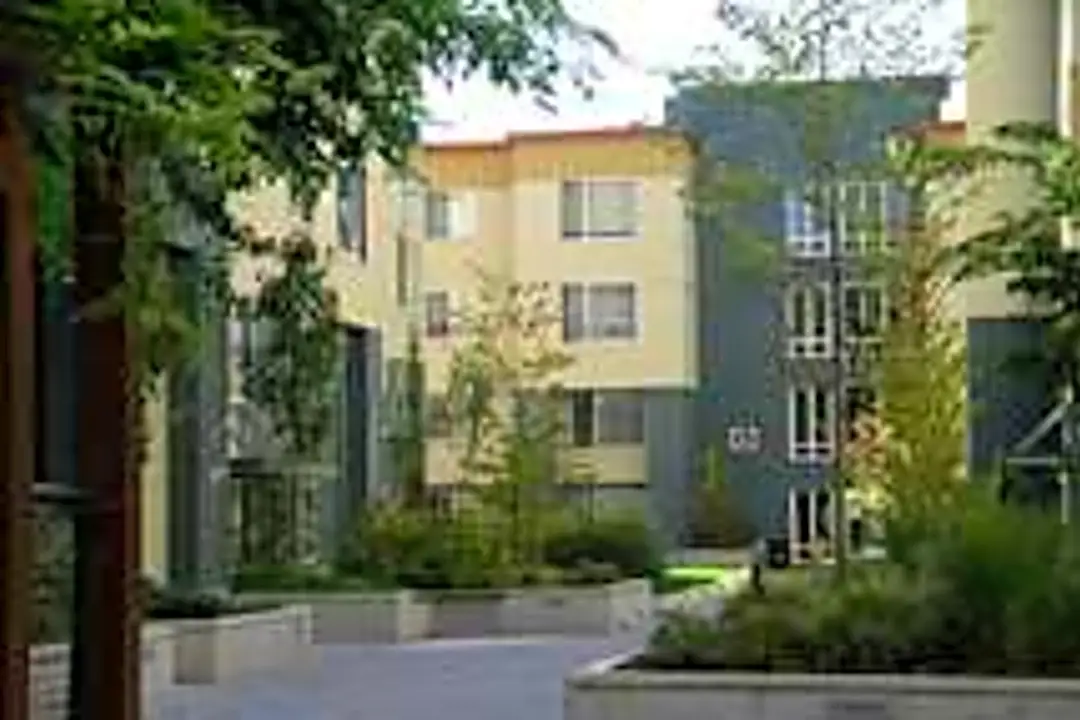 Apartments For Rent in Overlake Redmond