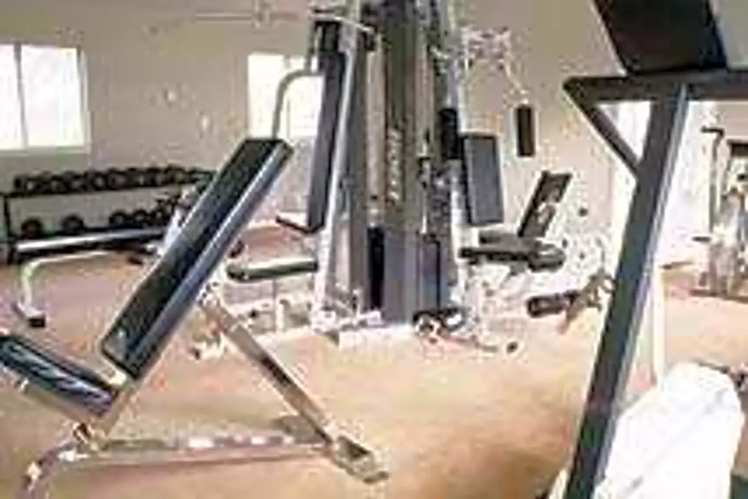 Tsa 9100 home online gym price