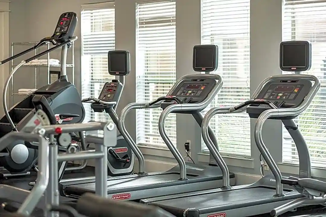 Cabelas treadmills sale