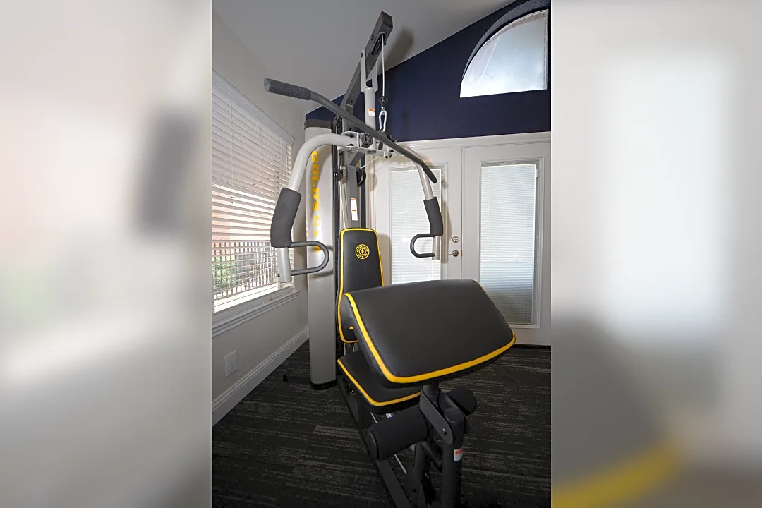 Gold's gym home gym xrs 55 hot sale