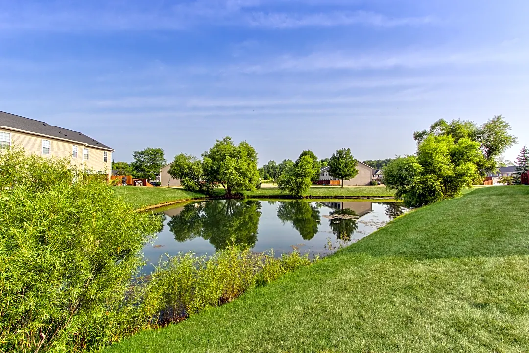 5 Star Pond Maintenance & Cleaning In Ann Arbor