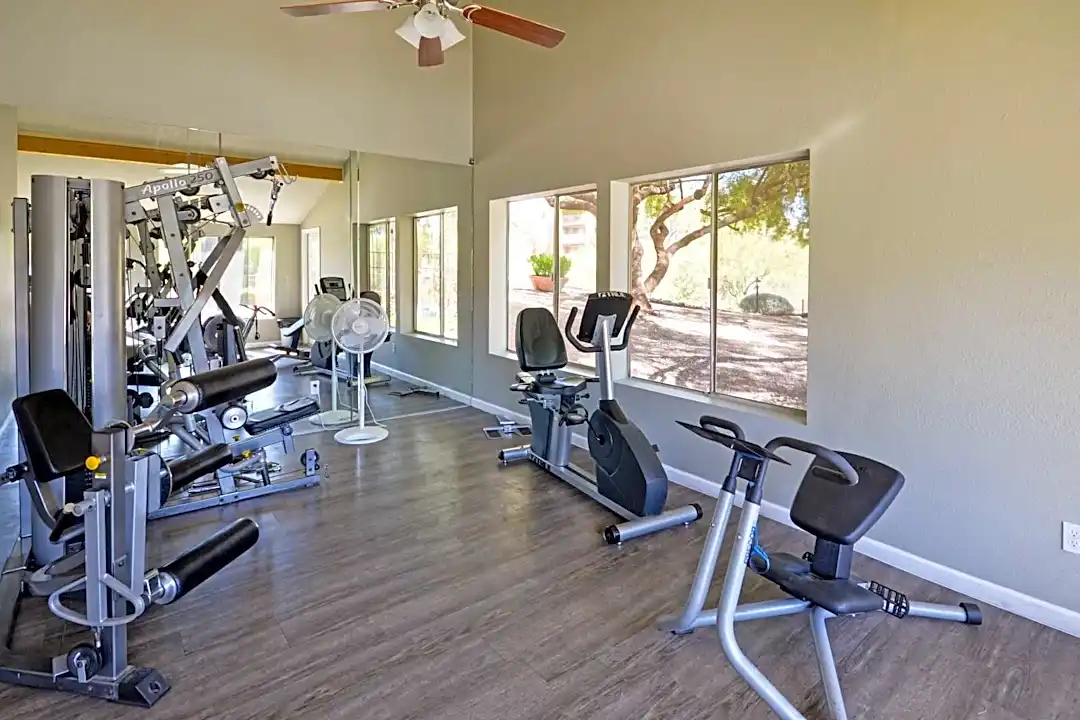 Apollo 250 online gym