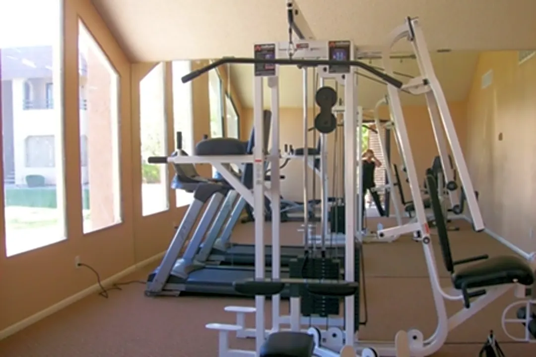 Pacific fitness malibu cheap home gym craigslist