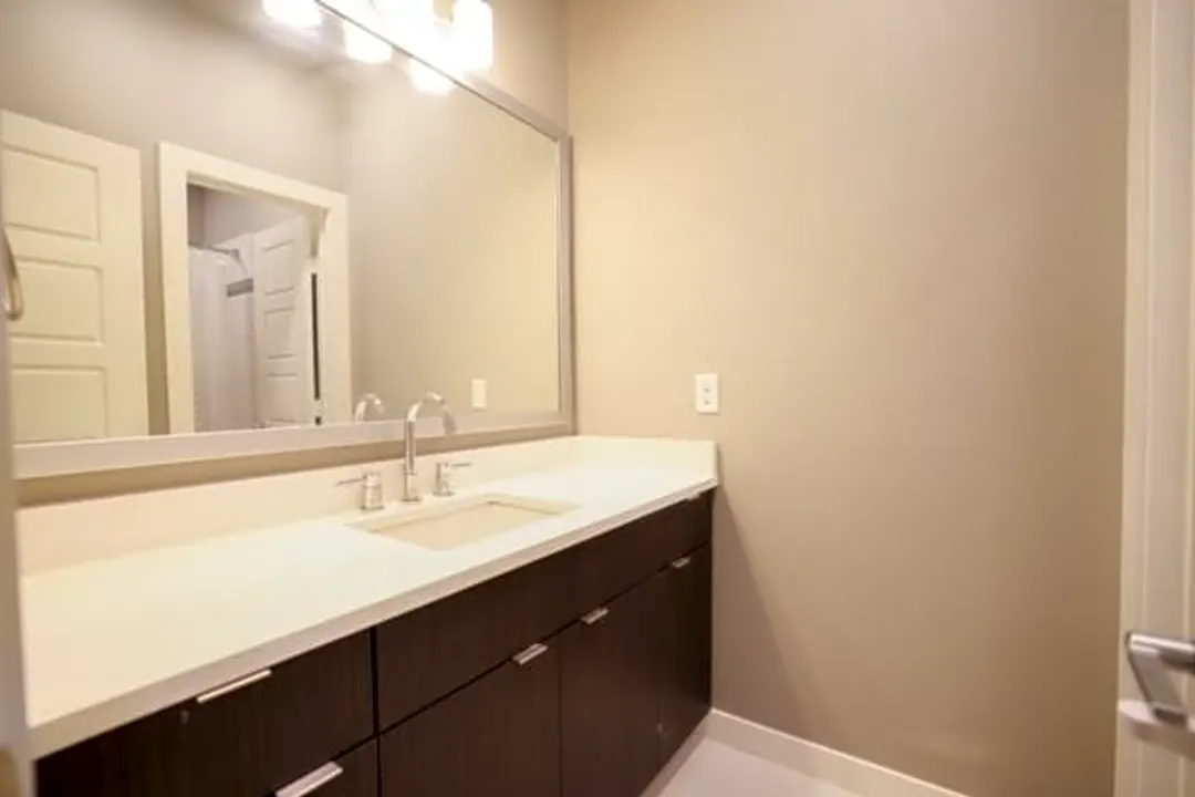 313 Tonga St, Dallas, TX Townhomes for Rent